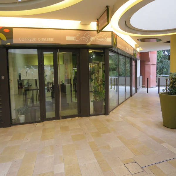 Vente Immobilier Professionnel Local commercial Maisons-Alfort 94700